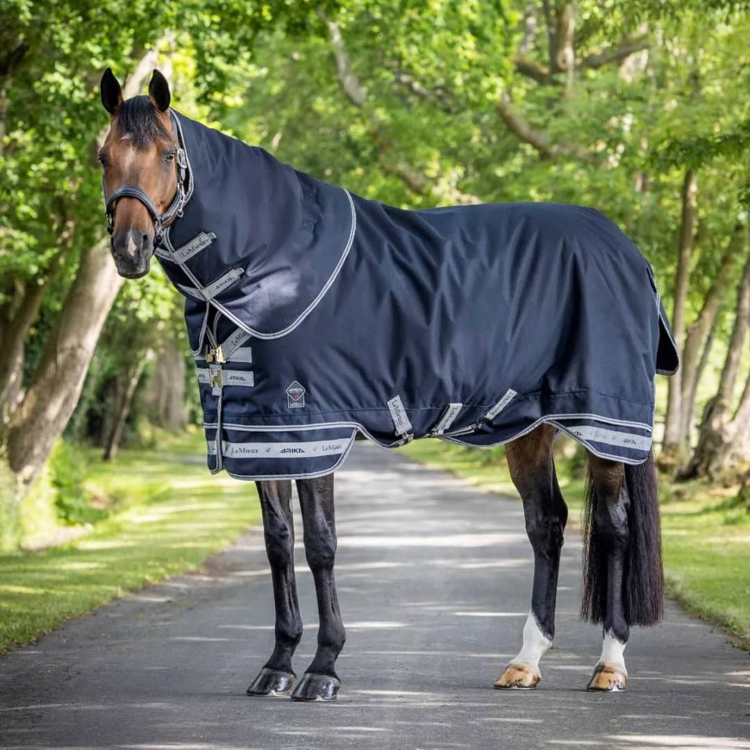 LeMieux Arika Storm-Tek Turnout Rug 100gr