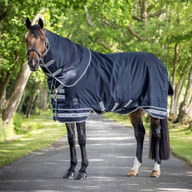 LeMieux Arika Storm-Tek Turnout Rug 100gr