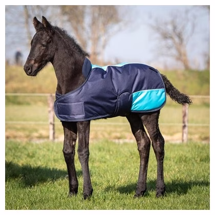 Harry's Horse TwoTone Veulendeken