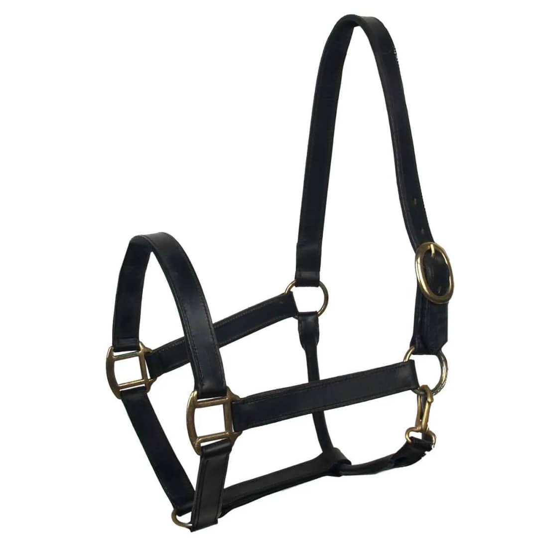 Baseline leren halster