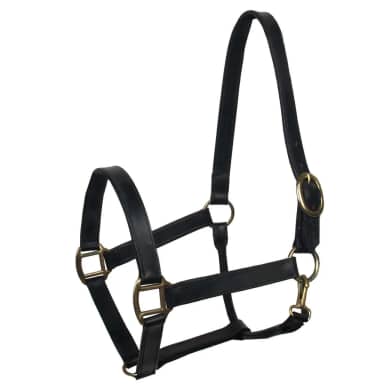 Baseline leren halster