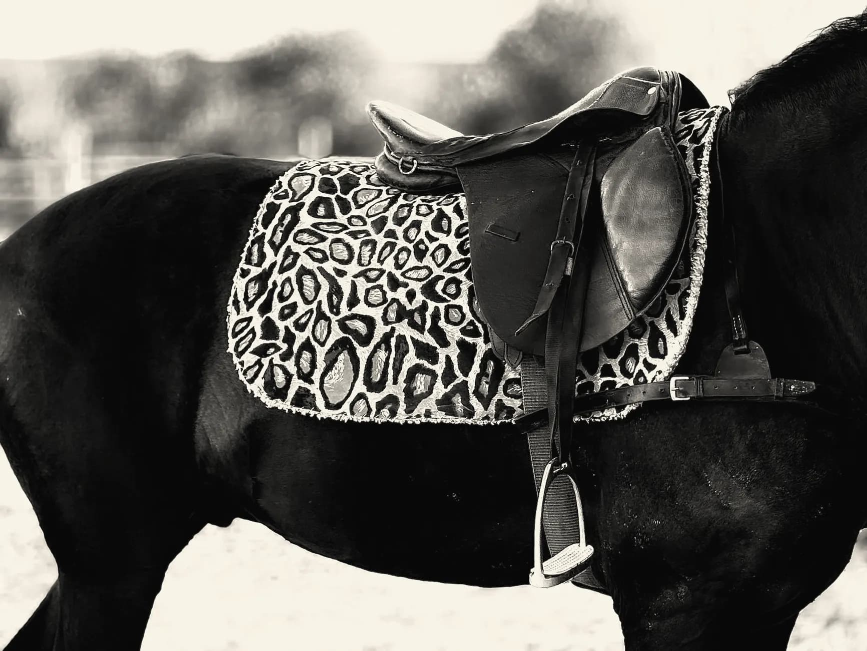 Zadeldekje onder een leren zadel op de rug van een paard