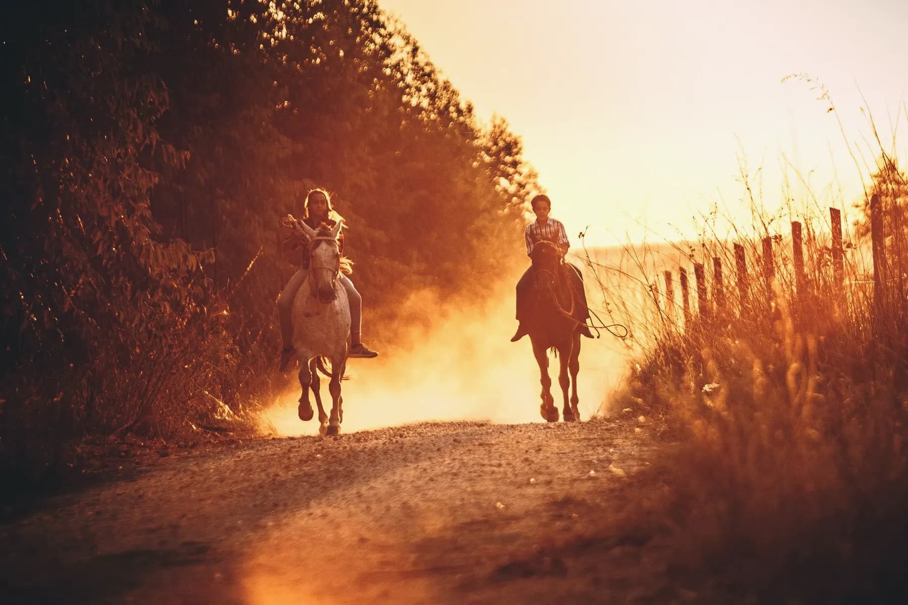 Ruiter en paard in stap over een zandpad langs een weiland in de avondzon