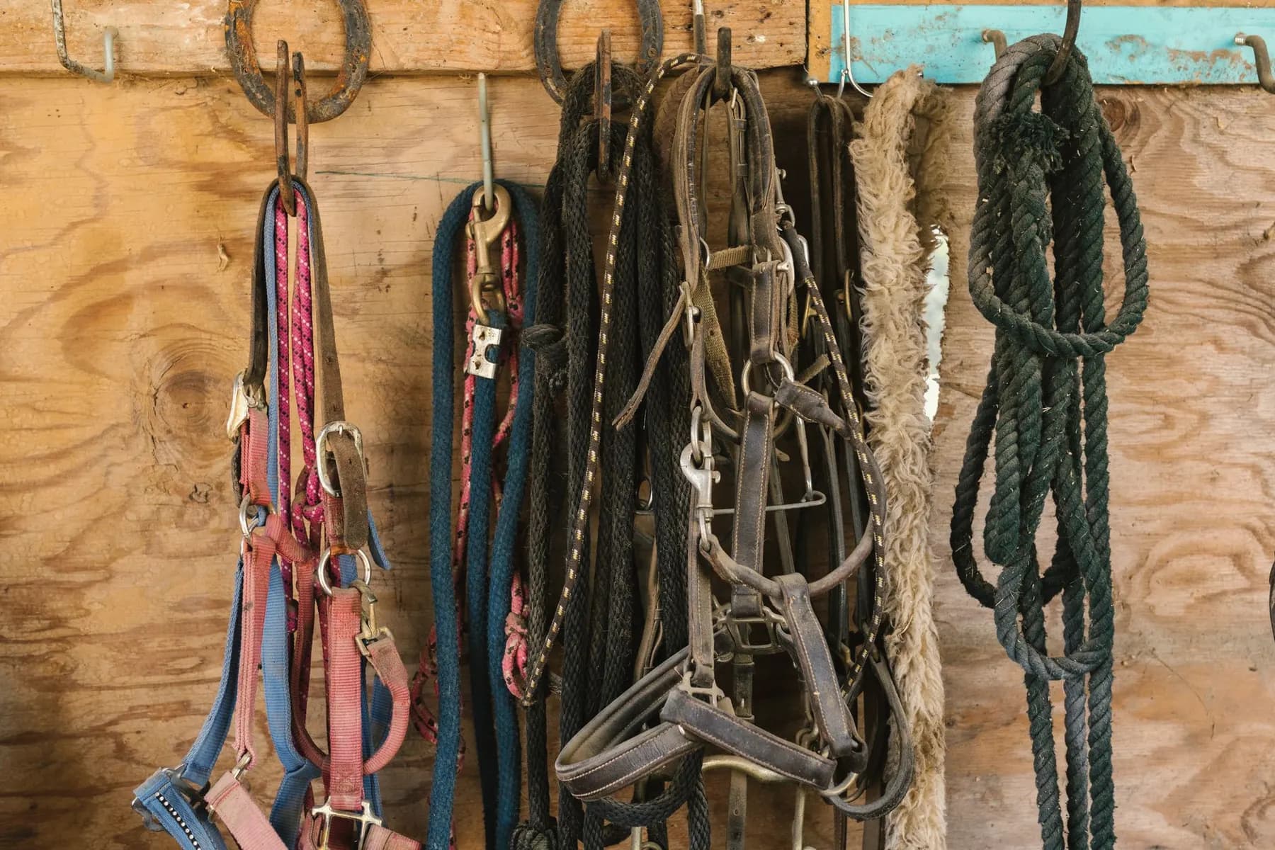 Zadelkamer met zadels en hoofdstellen aan een houten wand