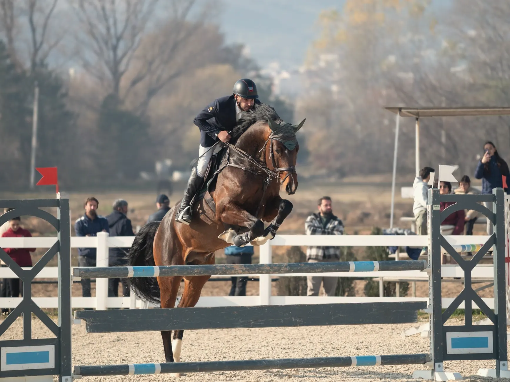 Ruiter in witte rijbroek en donker wedstrijdjasje op een concours