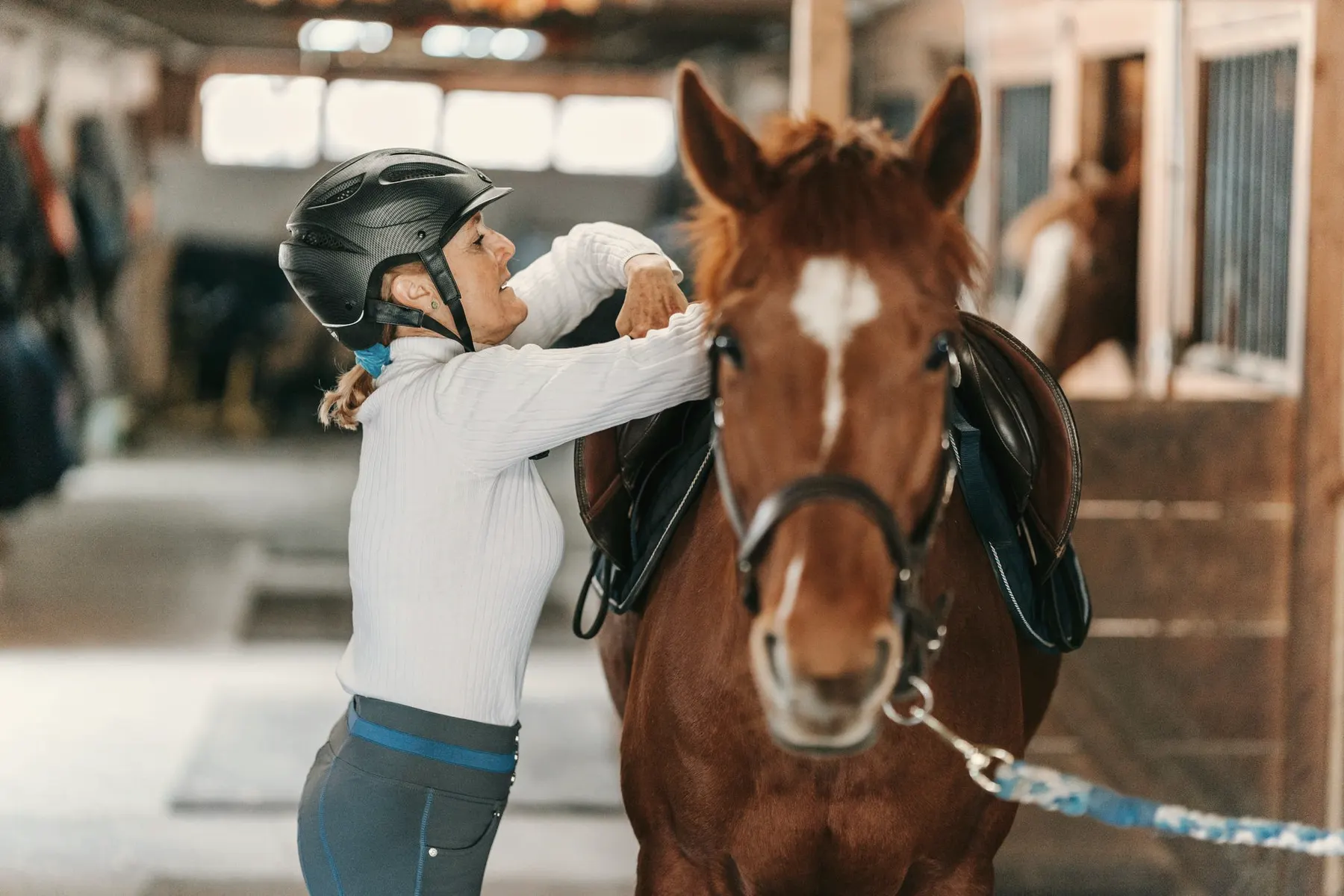 Ruiter poetst een bruin paard in de stalgang