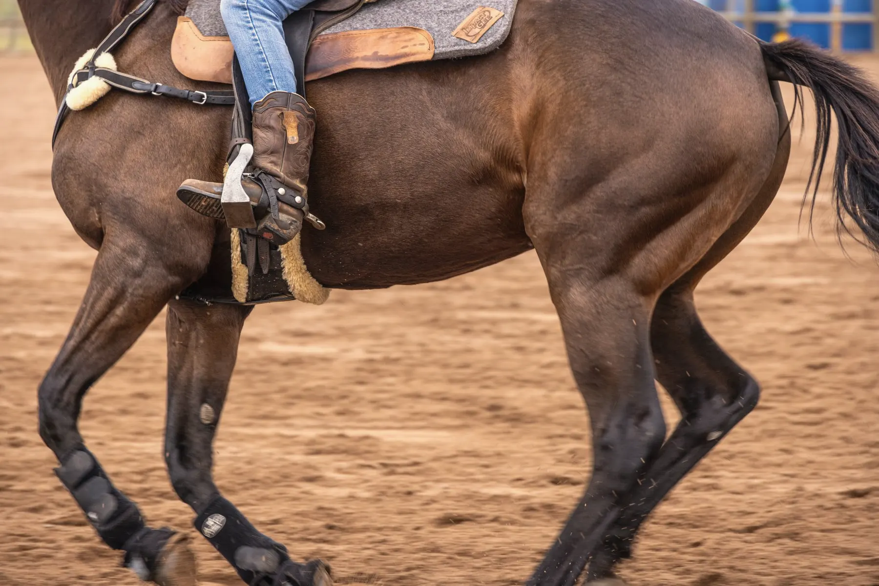 Ruiter in draf op een bruin paard in een buitenrijbaan met zandbodem