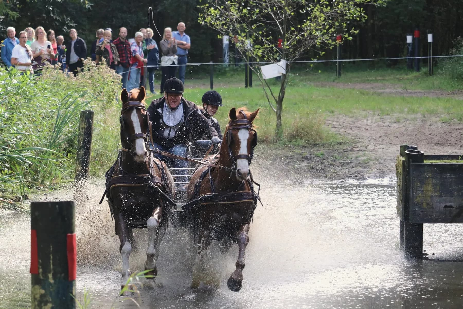 Menner met een tweespan rijdt door een marathonhindernis