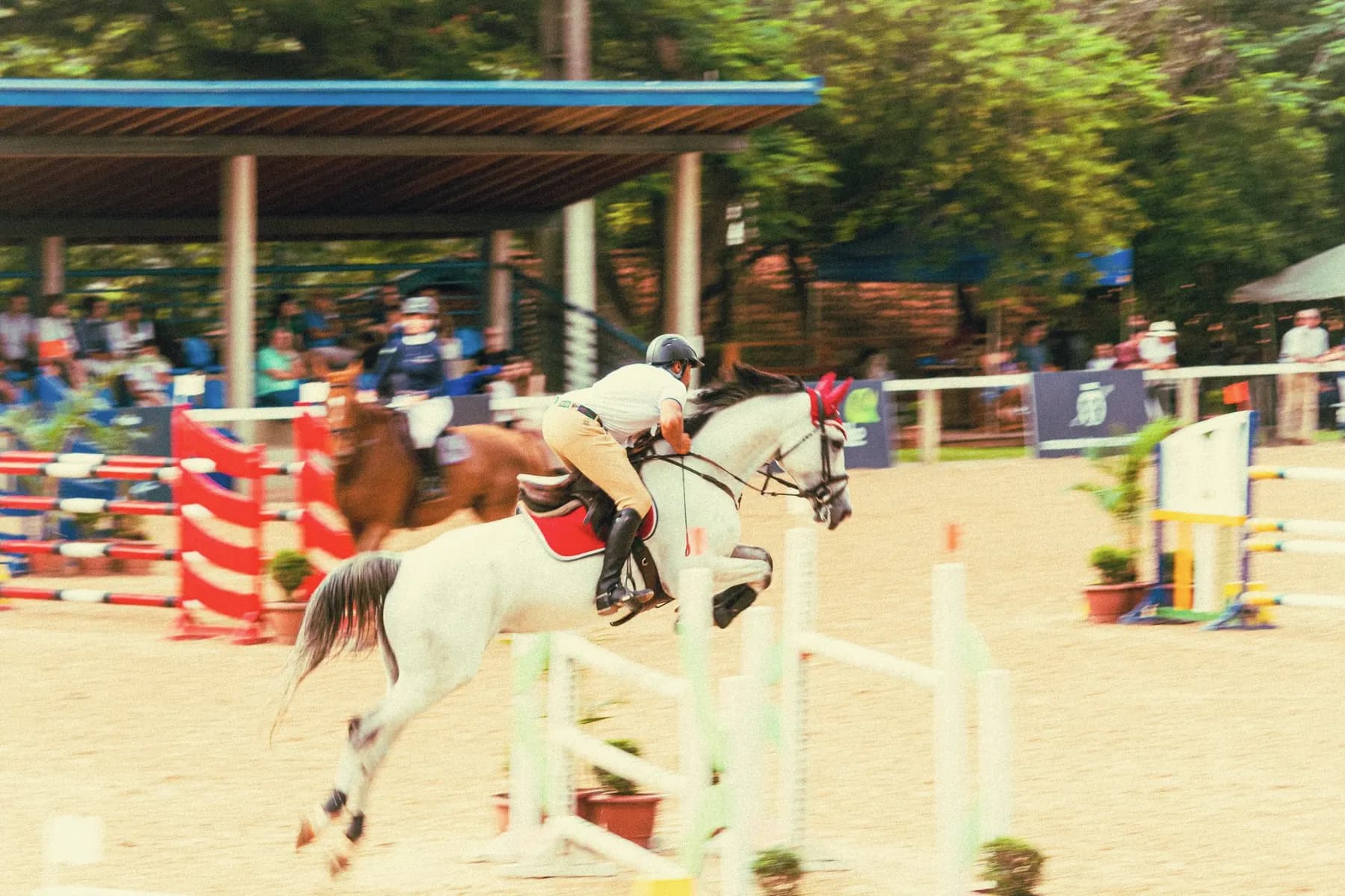Paard springt over een steilsprong met gekleurde balken in een springbaan