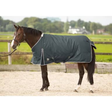 Harry's Horse Thor 300gr regendeken