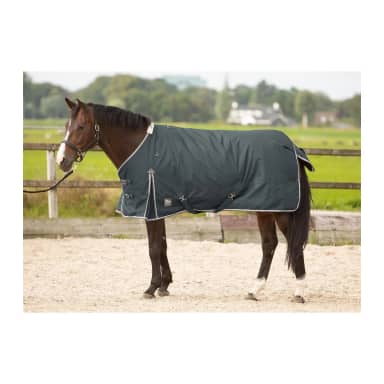 Harry's Horse Thor 300gr Regendeken
