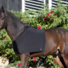 PFIFF Borst-/schoftonderdeken | Minihorseshop