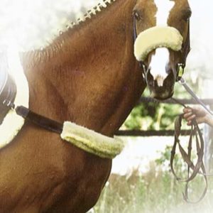 PFIFF Neusbontje van lamsvel | Minihorseshop