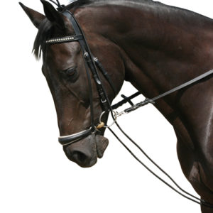 PFIFF Halsverlenger | Minihorseshop