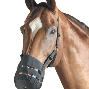 PFIFF Muilkorf en/of eetrem | Minihorseshop