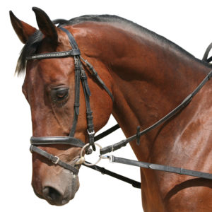 PFIFF Bijzetteugel zonder rubber inzetstukken | Minihorseshop