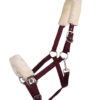 QHP Halster Florence | Minihorseshop