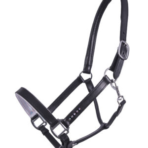 QHP Halster leer Parla Zwart | Minihorseshop