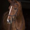 Horseware Rambo Micklem Original Competition Bridle | Minihorseshop