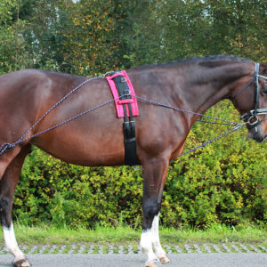 QHP Longeerhulp teugel | Minihorseshop