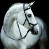 Horseware Rambo Micklem Comp teugels Engels leer | Minihorseshop