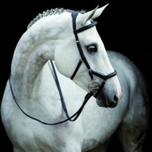 Horseware Rambo Micklem Comp teugels Engels leer | Minihorseshop