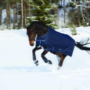 Horseware Amigo Bravo 12 Original Pony Heavy 400g | Minihorseshop