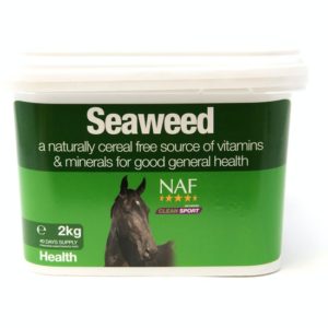 NAF ZEEWIER | Minihorseshop