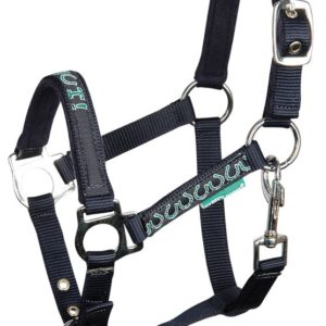 Harry's Horse Halsterset STOUT! Green | Minihorseshop