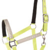 Harry's Horse Halster Reflective | Minihorseshop