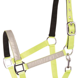 Harry's Horse Halster Reflective | Minihorseshop