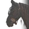 Harry's Horse Vliegenmasker Flyshield fringes | Minihorseshop