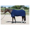 Harry's Horse Fleecedeken met oprolbare nek | Minihorseshop