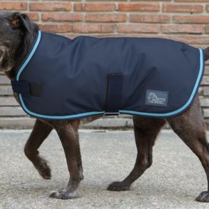 Harry's Horse Hondendeken WI20 | Minihorseshop