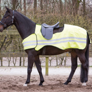 Harry's Horse Uitrijdeken Reflective | Minihorseshop