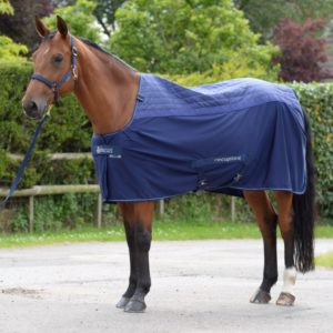 Bucas Recuptex Therapy | Minihorseshop