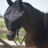 QHP Rij vliegenmasker met oren | Minihorseshop