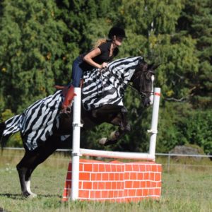 Bucas Riding-Rug-Zebra | Minihorseshop