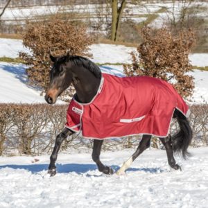 Bucas Select Turnout | Minihorseshop