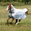 Bucas Buzz-off Rain Full Neck | Minihorseshop