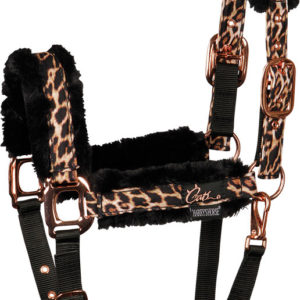 Harry's Horse Halsterset Cats | Minihorseshop