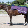Harry's Horse Uitrijdeken 0gr fleece | Minihorseshop