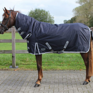 QHP Deken turnout vaste hals 300gr | Minihorseshop