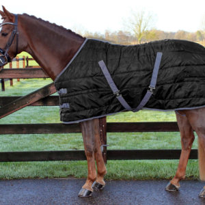 QHP Deken stal Start Nylon 150gr | Minihorseshop