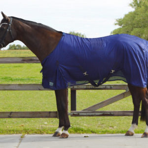 QHP Vliegendeken basic | Minihorseshop