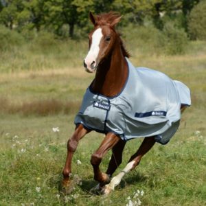 Bucas Buzz-Off Classic | Minihorseshop