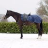 QHP Nierdeken 420D met fleece voering | Minihorseshop