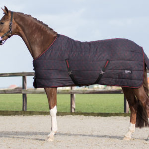 QHP Staldeken start Collection 200gr | Minihorseshop
