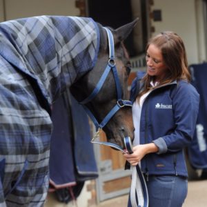 Bucas Celtic Stable Medium | Minihorseshop