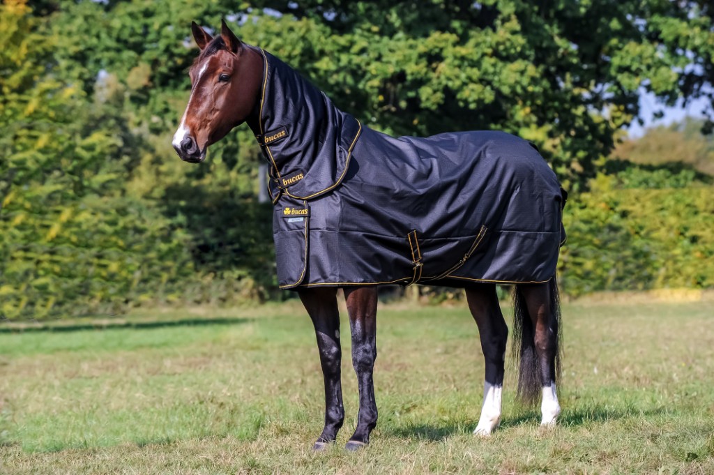 65415_22_bucas_irish_turnout_combi_neck_black_gold_1047_1466